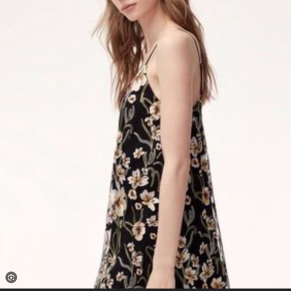Aritzia embroidered dress - Picture 2 of 9